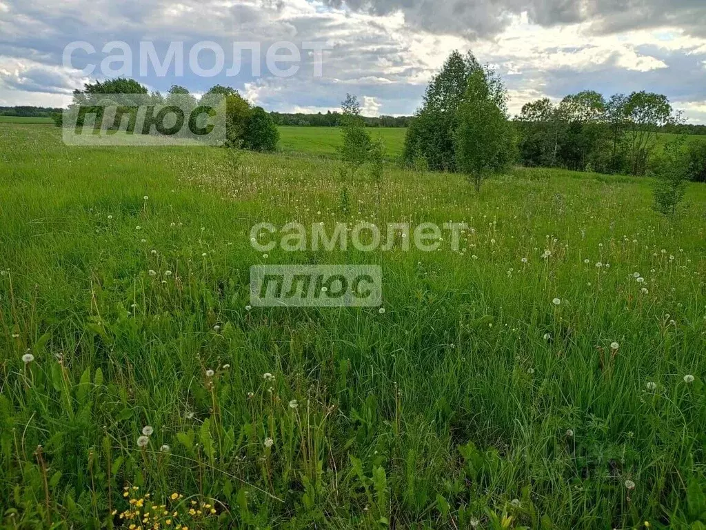 Участок в Вологодская область, Дикая ж/д_ст  (8.0 сот.) - Фото 1