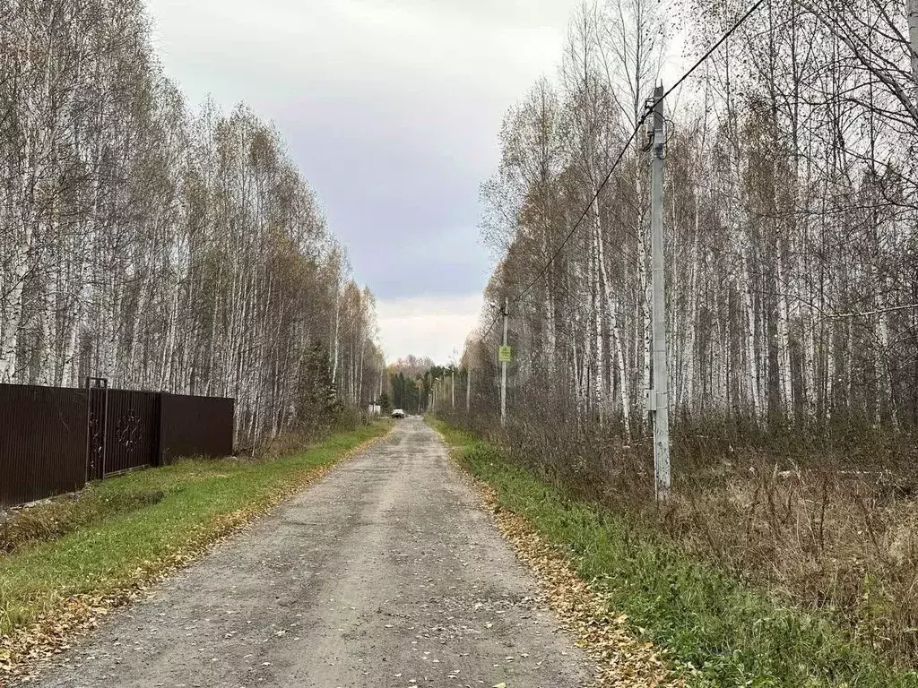 Участок в Тюменская область, Нижнетавдинский муниципальный округ, ... - Фото 2