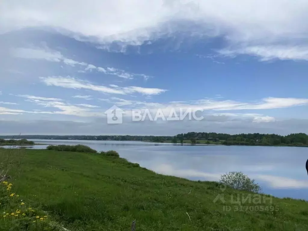 Участок в Московская область, Можайский муниципальный округ, ... - Фото 1