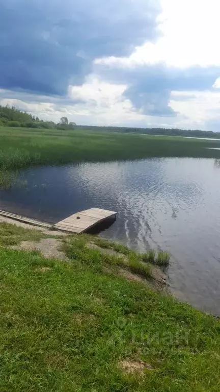 Участок в Тверская область, Торжокский район, д. Ладьино  (17.0 сот.) - Фото 1