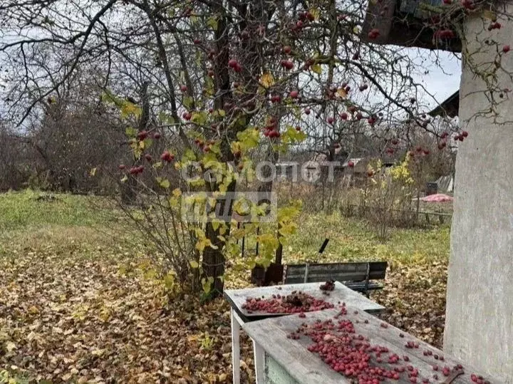 Дом в Липецкая область, Липецк Ветеран труда СНТ, ул. Западная, 246 ... - Фото 2