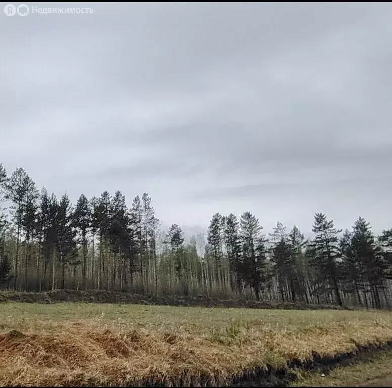 Участок в Иркутский муниципальный округ, село Мамоны (10 м) - Фото 1