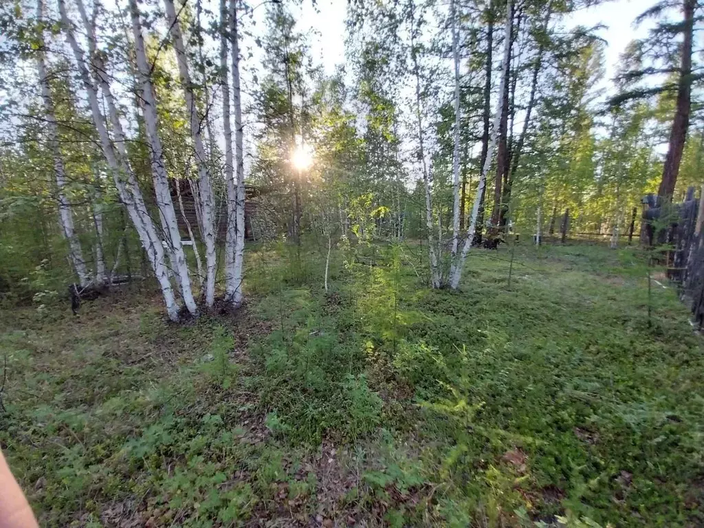 Участок, 11 сот., сельхоз (снт или днп) - Фото 1
