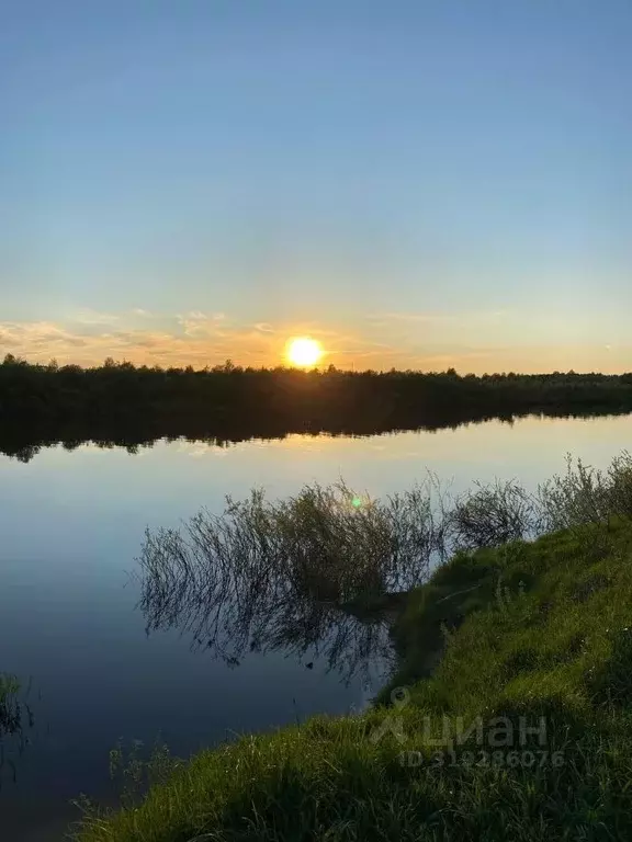 Участок в Новгородская область, Новгородский район, Бронницкое с/пос, ... - Фото 0