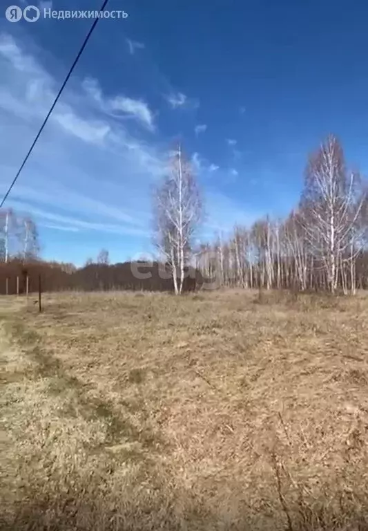 Участок в Новосибирская область, Коченёвский муниципальный район, ДНТ ... - Фото 1