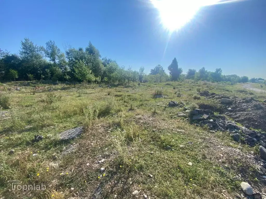 Участок в Кабардино-Балкария, Чегемский район, с. Шалушка Береговая ... - Фото 1
