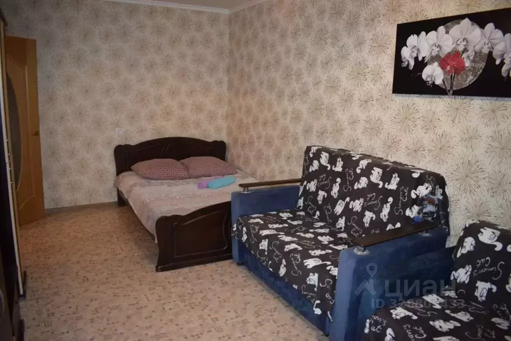 1-к кв. Московская область, Чехов ул. Дружбы, 15 (36.0 м) - Фото 1