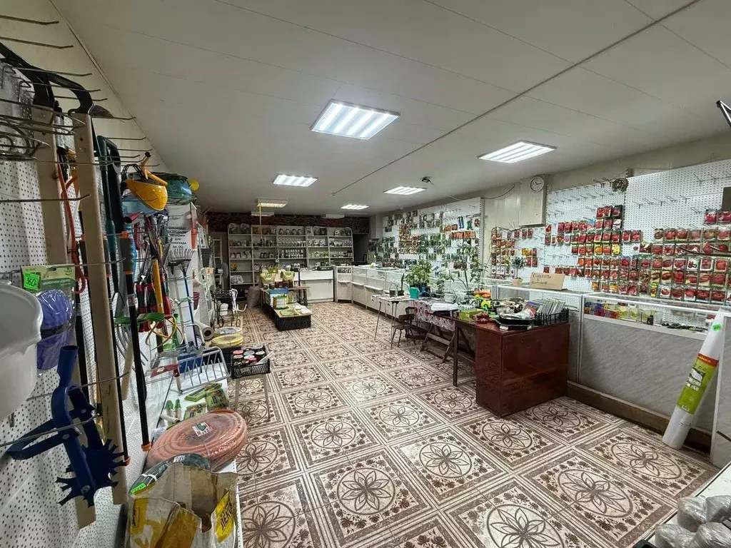 Помещение свободного назначения в Волгоградская область, Волгоград ул. ... - Фото 1