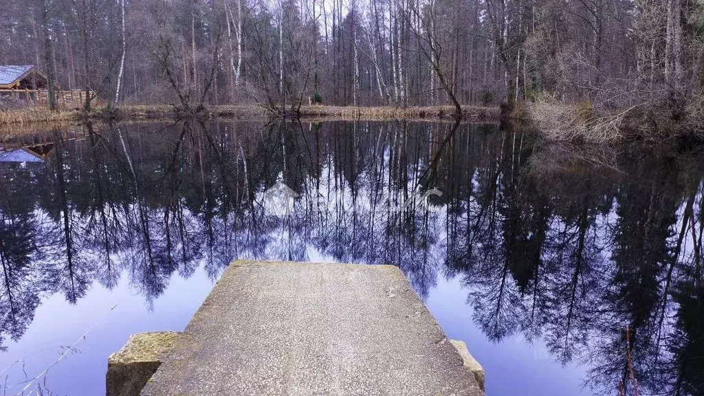 Участок в Владимирская область, Судогодский район, д. Ладога ул. Тихая ... - Фото 2