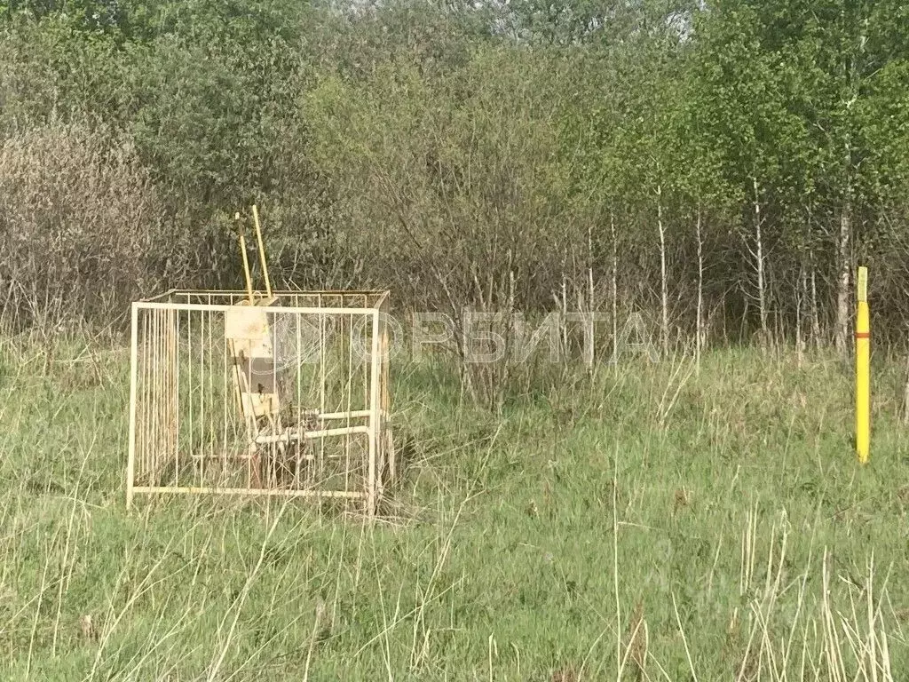 Участок в Тюменская область, Нижнетавдинский муниципальный округ, ... - Фото 2