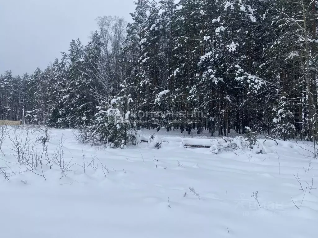Участок в Владимирская область, Ковровский муниципальный округ, с. ... - Фото 1