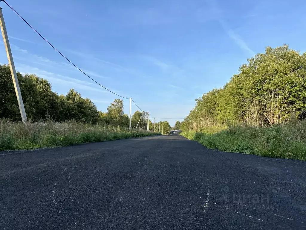 Участок в Ленинградская область, Всеволожский район, Романовское ... - Фото 0
