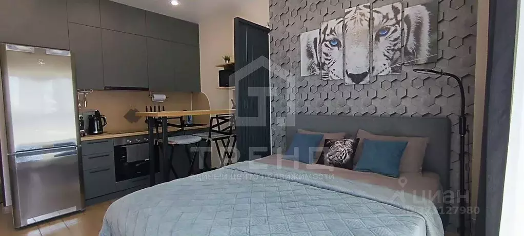 Студия Ленинградская область, Ломоносовский район, Аннинское городское ... - Фото 1