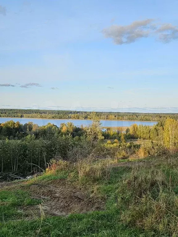 Участок 20 сот. (СНТ, ДНП) - Фото 1