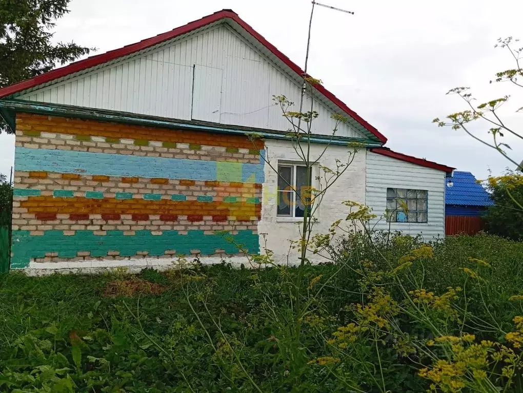 Дом в Омская область, Горьковский район, д. Алексеевка ул. ... - Фото 2