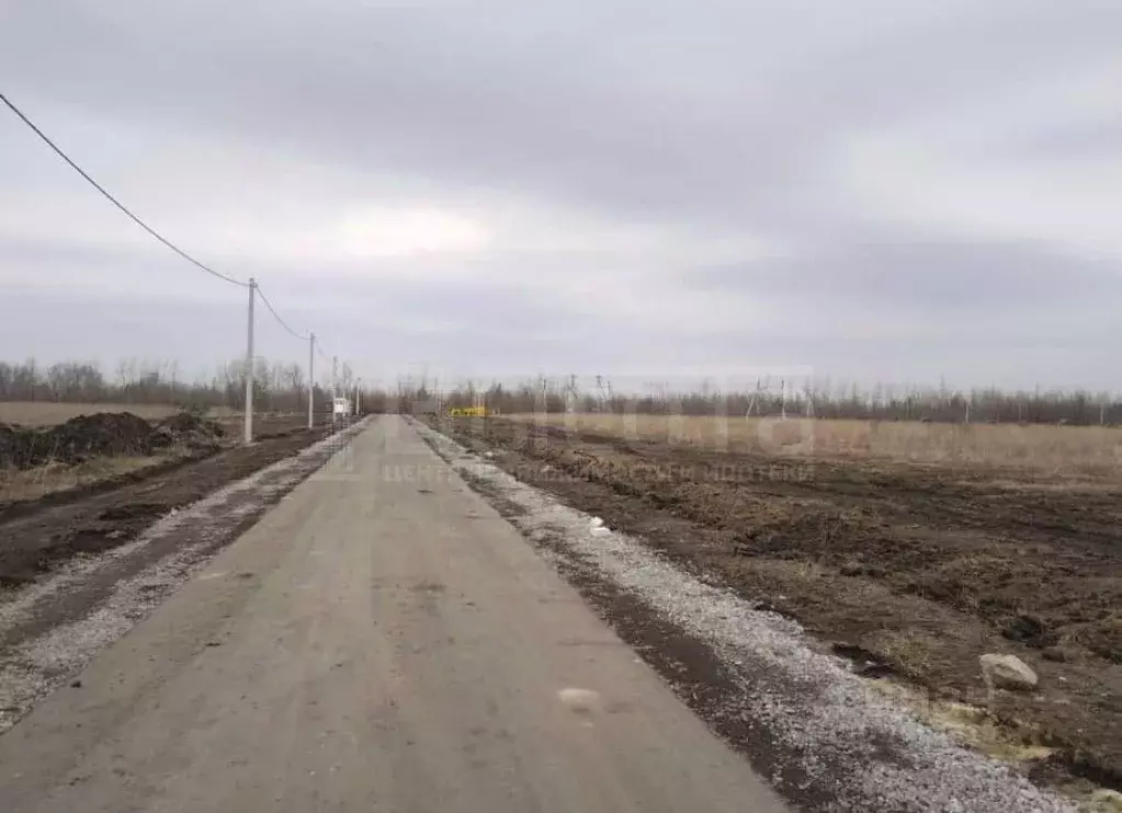 Участок в Воронежская область, с. Новая Усмань ул. Усманская, 2 (40.0 ... - Фото 1