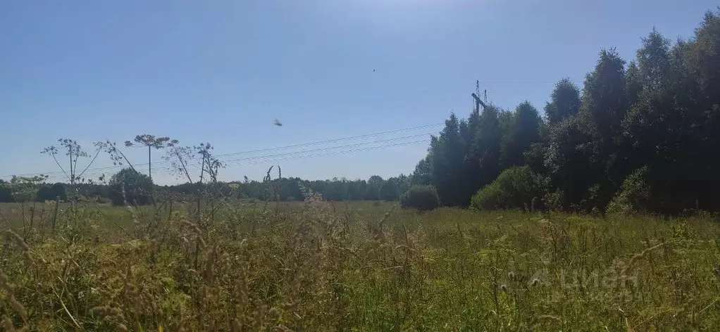 Участок в Московская область, Талдомский городской округ, с. Квашенки  ... - Фото 0