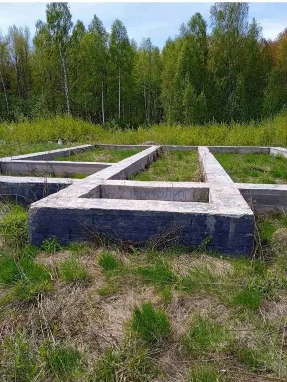 Участок в Нижегородская область, Балахнинский муниципальный округ, д. ... - Фото 2