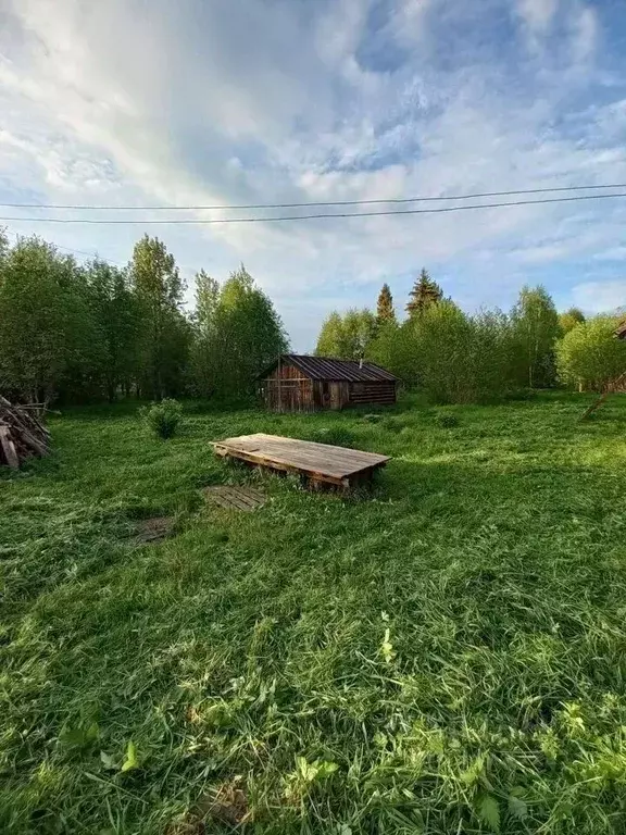 Дом в Архангельская область, Шенкурский муниципальный округ, д. ... - Фото 1