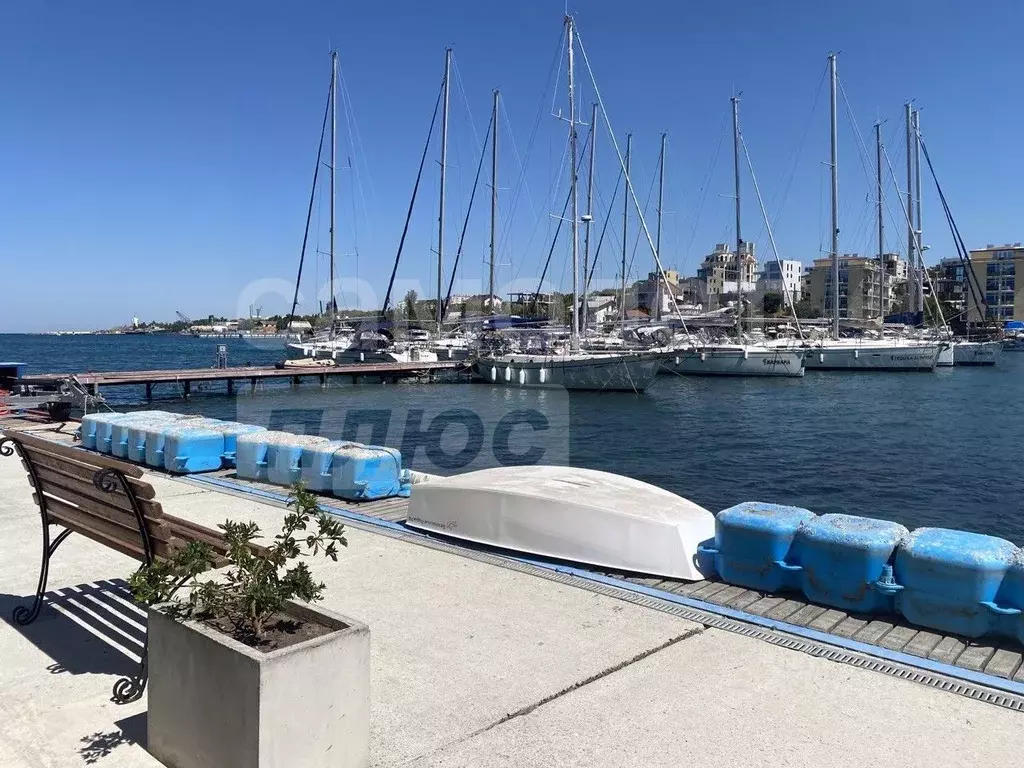 Студия Севастополь ул. Адмирала Фадеева, 18 (30.0 м) - Фото 1