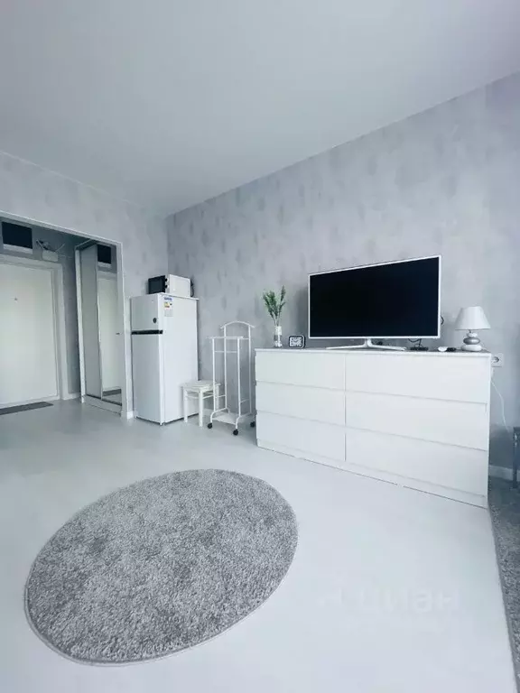 Студия Москва проезд Стройкомбината, 1 (23.4 м) - Фото 1