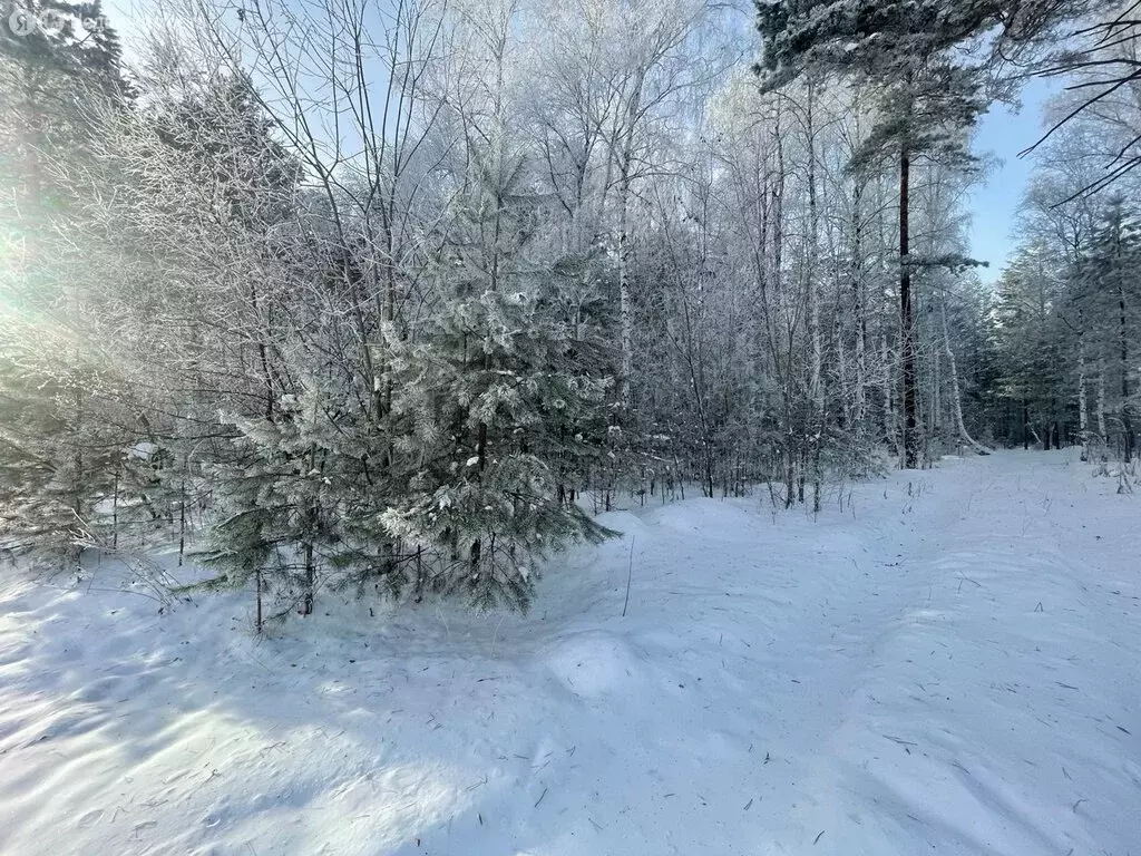 Участок в Иркутский муниципальный округ, Листвянское муниципальное ... - Фото 1