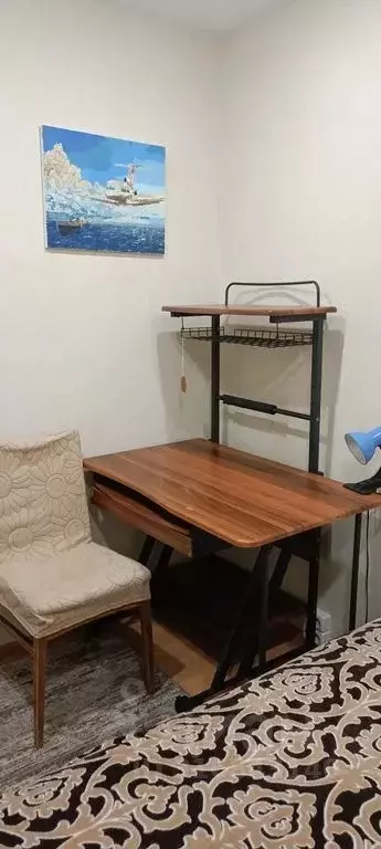 Студия Кировская область, Киров ул. Некрасова, 36 (25.0 м) - Фото 2