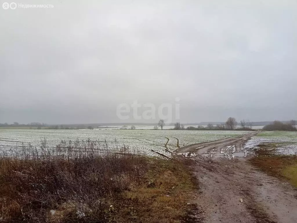 Участок в село Бабынино, село Бабынино (71 м) - Фото 0