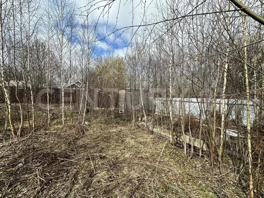 Участок в Московская область, Мытищи городской округ, д. Терпигорьево, ... - Фото 2