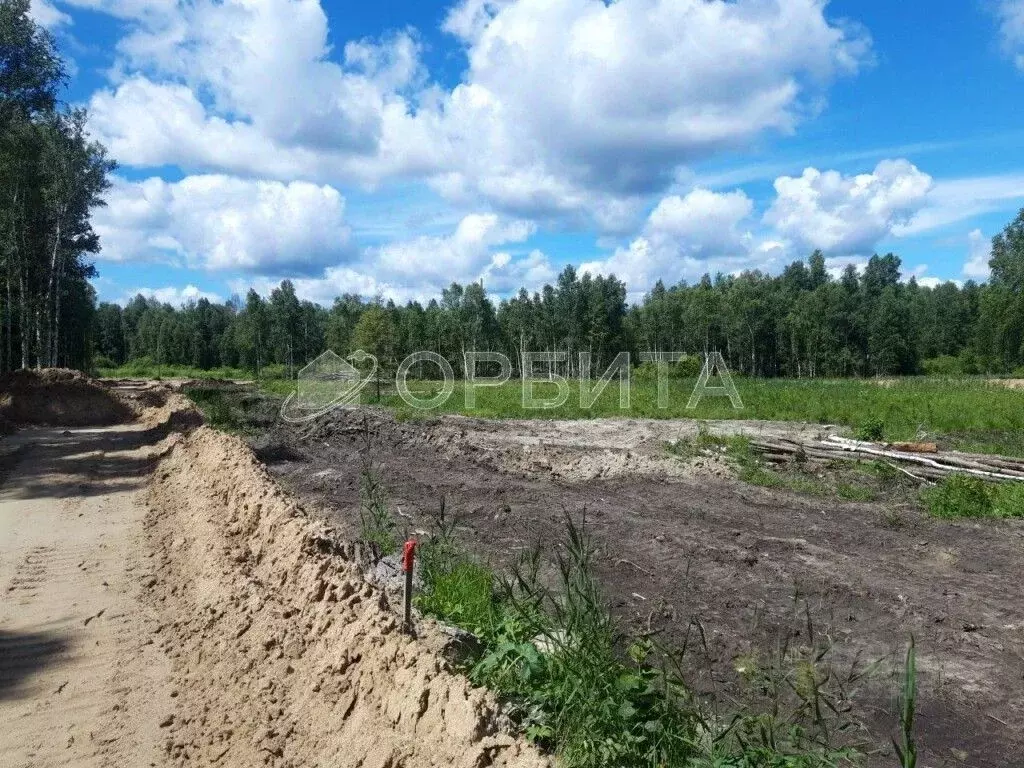 Участок в Тюменская область, Нижнетавдинский район, Сундукуль СНТ  ... - Фото 0
