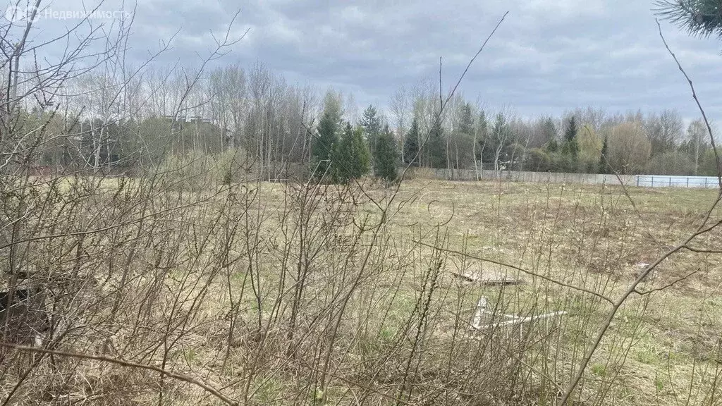 Участок в деревня Поздняково, КП Никольская слобода (50 м) - Фото 1