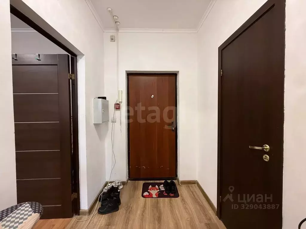 1-к кв. Московская область, Домодедово Южный мкр, ул. Курыжова, 17 ... - Фото 1