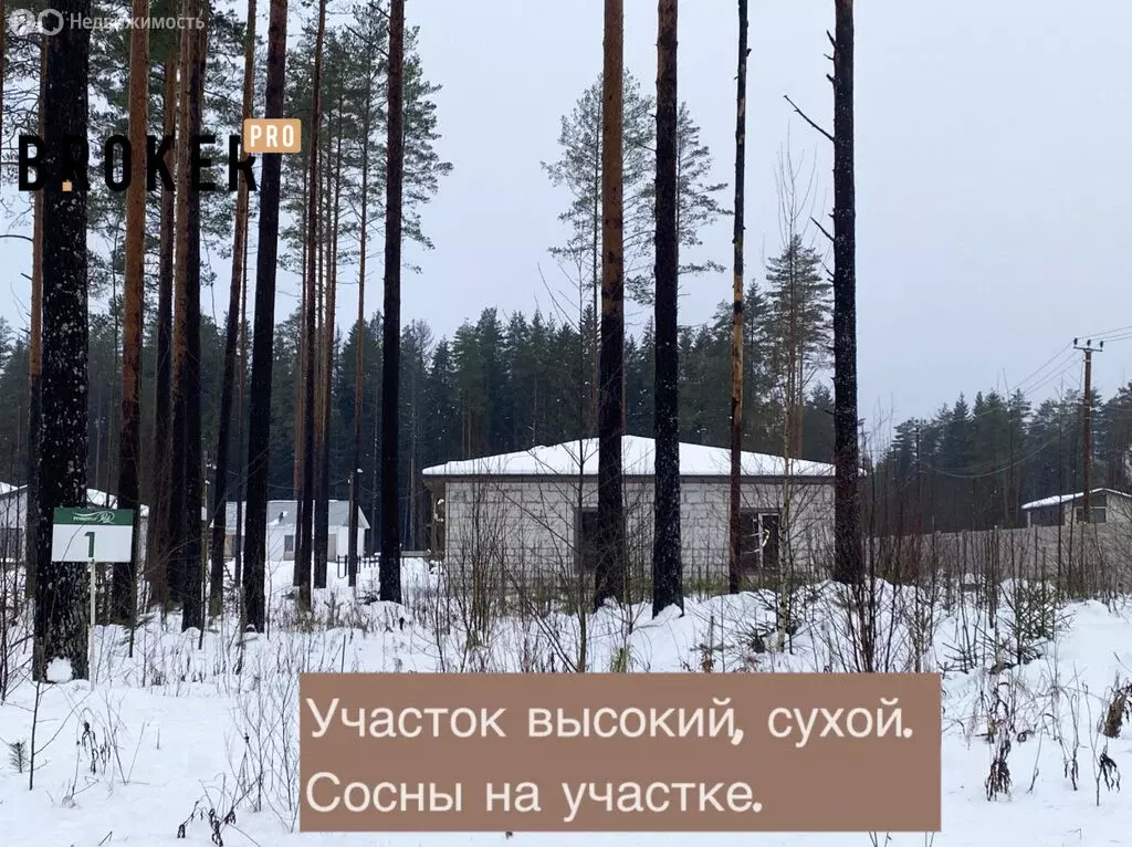 Участок в городской посёлок Рощино, Еловая улица (11 м) - Фото 1