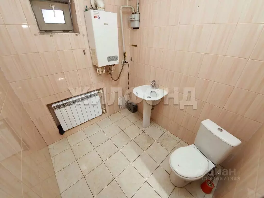 Дом в Новосибирская область, Новосибирск Автономная ул. (215 м) - Фото 1