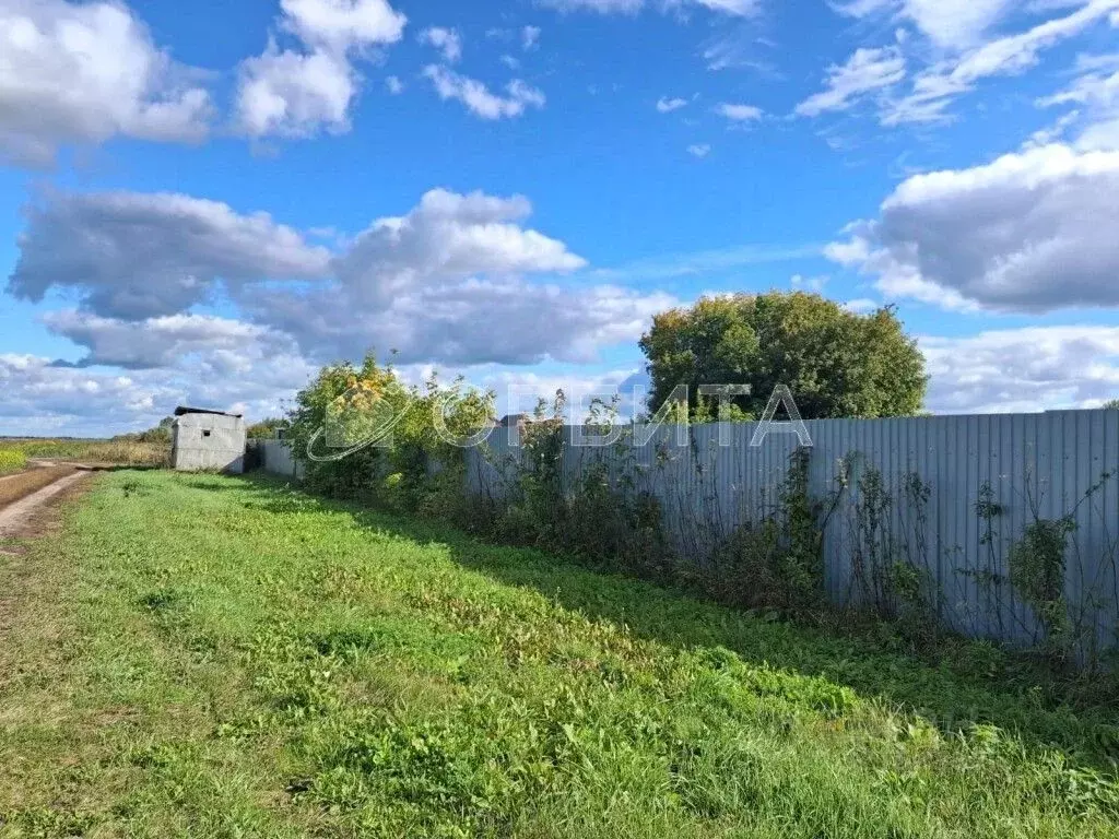 Участок в Тюменская область, Тюменский муниципальный округ, с. Ембаево ... - Фото 2
