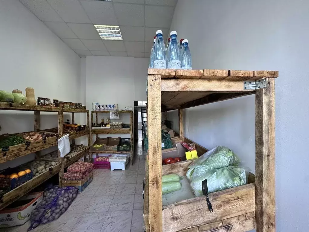 Офис в Краснодарский край, Анапа Крымская ул., 272 (40 м) - Фото 2