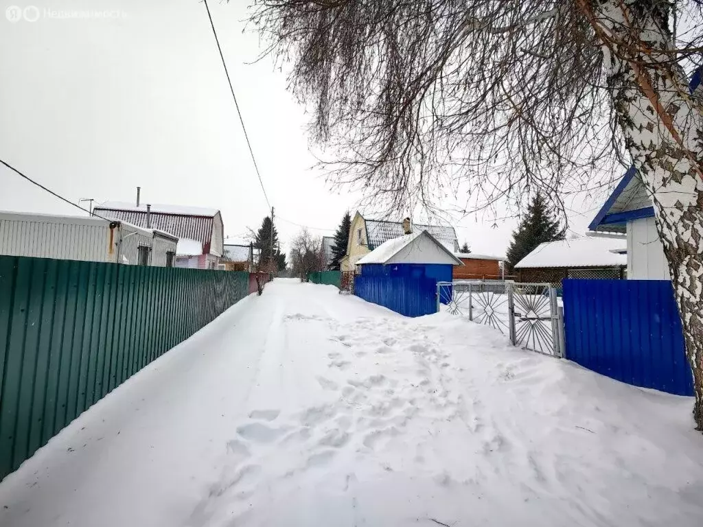 Дом в муниципальный округ Омский район, СНТ Пластик (30 м) - Фото 2