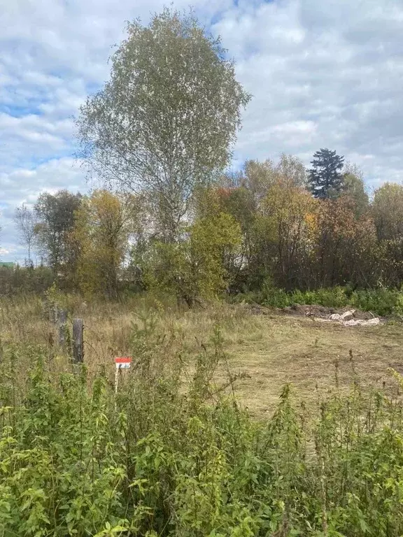 Участок в Томская область, Томский район, с. Кафтанчиково ул. Полевая ... - Фото 2