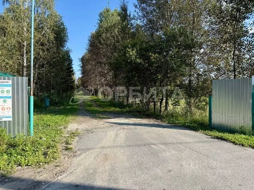 Участок в Тюменская область, Ялуторовский муниципальный округ, СО ... - Фото 1