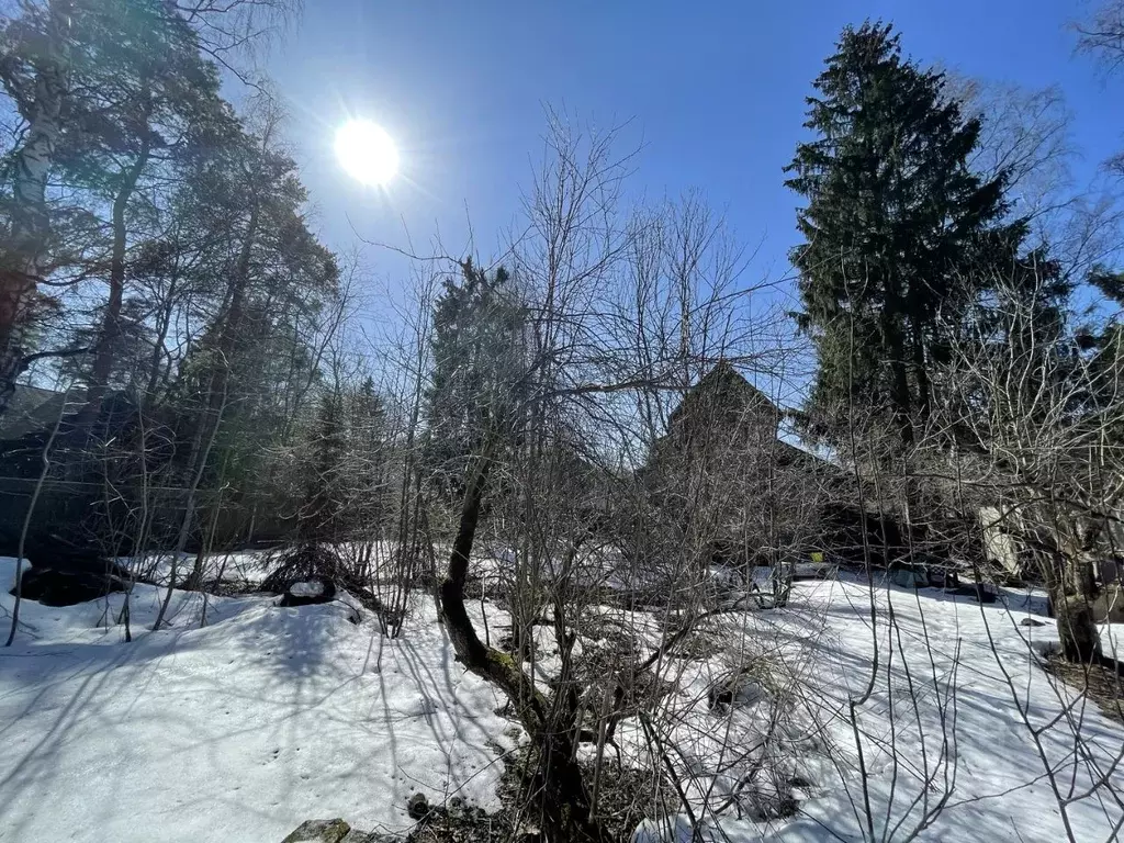Участок в Московская область, Пушкинский городской округ, Черкизово ... - Фото 2