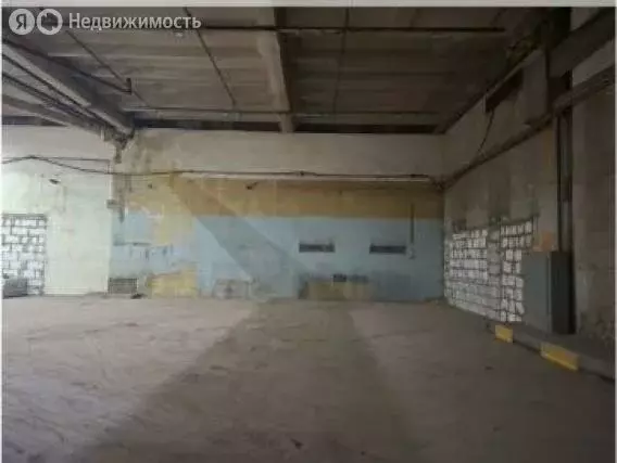 Помещение свободного назначения (940 м) - Фото 2