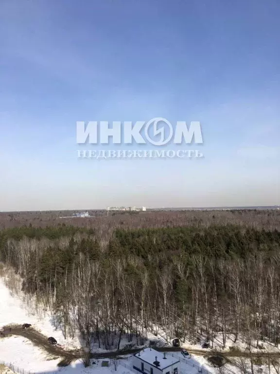 2-к кв. Московская область, Мытищи городской округ, пос. Нагорное ... - Фото 2