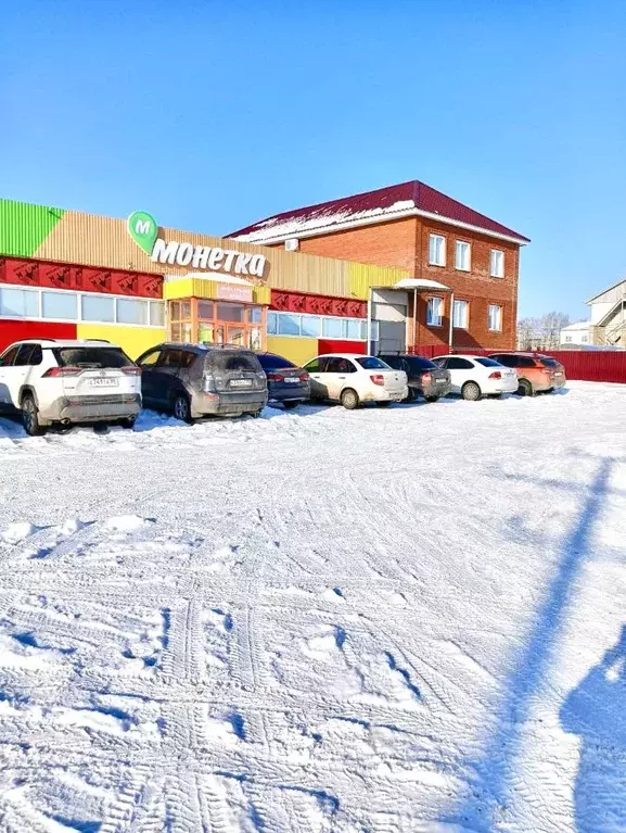 Помещение свободного назначения в Башкортостан, Чекмагушевский ... - Фото 0