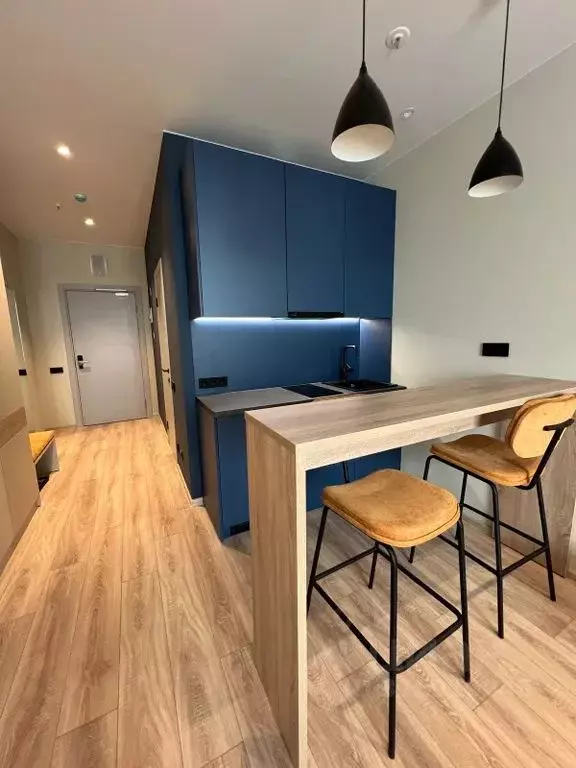 Студия Санкт-Петербург просп. Энергетиков, 8к2 (27.0 м) - Фото 1