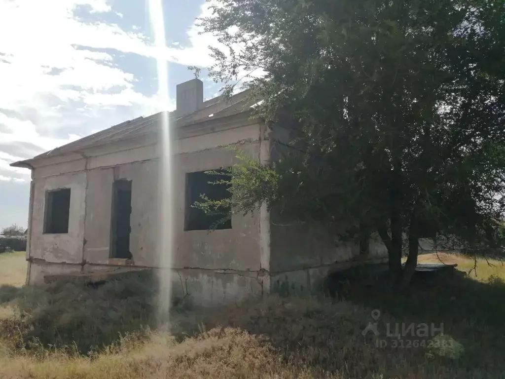 Помещение свободного назначения в Волгоградская область, Николаевский ... - Фото 0