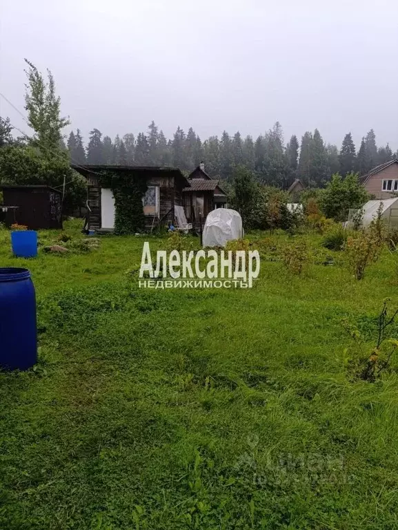 Дом в Ленинградская область, Гатчинский муниципальный округ, ... - Фото 1