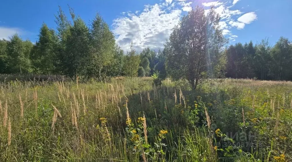 Участок в Московская область, Ступино городской округ, д. Дубнево  ... - Фото 1