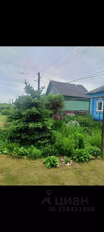 Дом в Нижегородская область, Балахна ул. Тургенева, 19 (43 м) - Фото 1