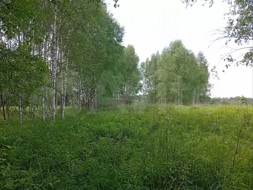 Участок 20 сот. (ИЖС) - Фото 0