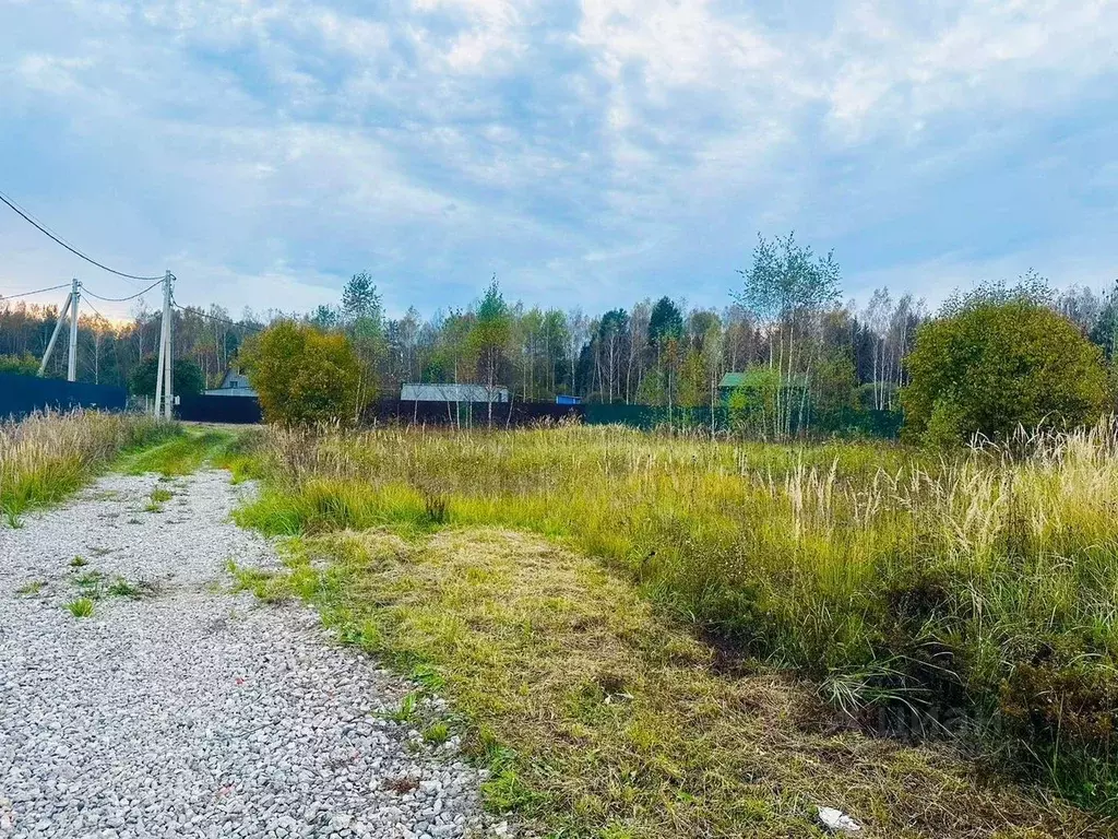 Участок в Московская область, Серпухов городской округ, д. Нижнее ... - Фото 1